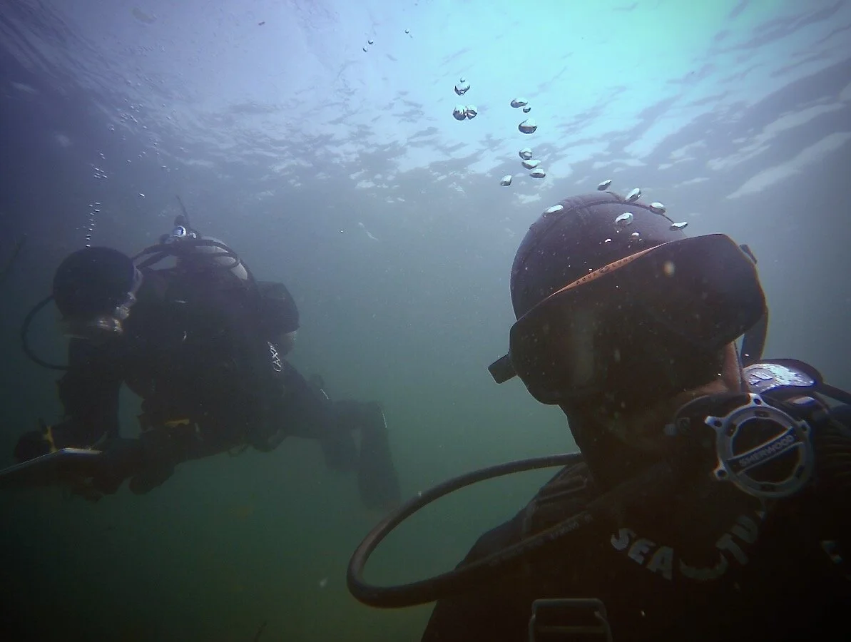 Screen Shot 2017-09-01 at 5.00.10 PM.jpeg