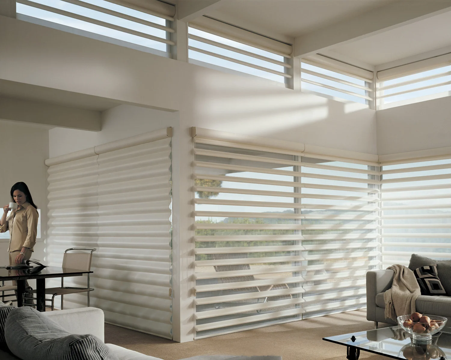 Pirouette Window Shadings