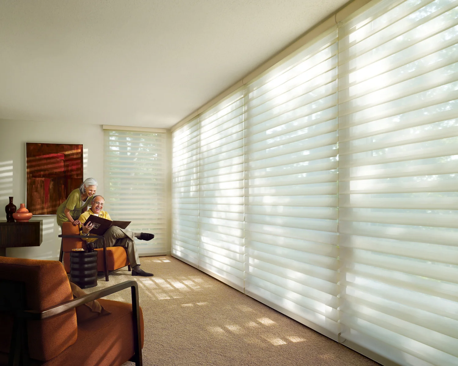 Silhouette Window Shadings
