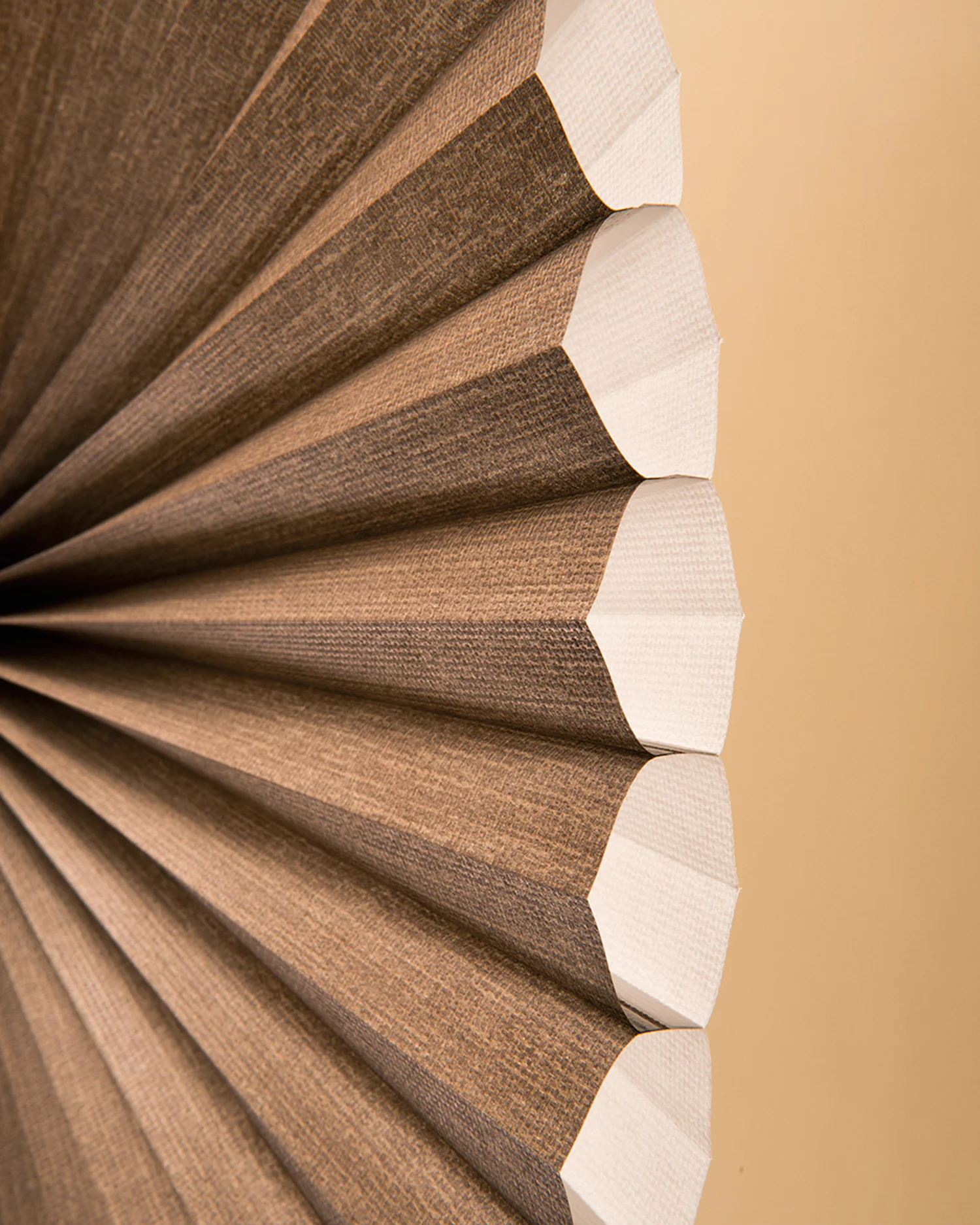 Applause Honeycomb Shades
