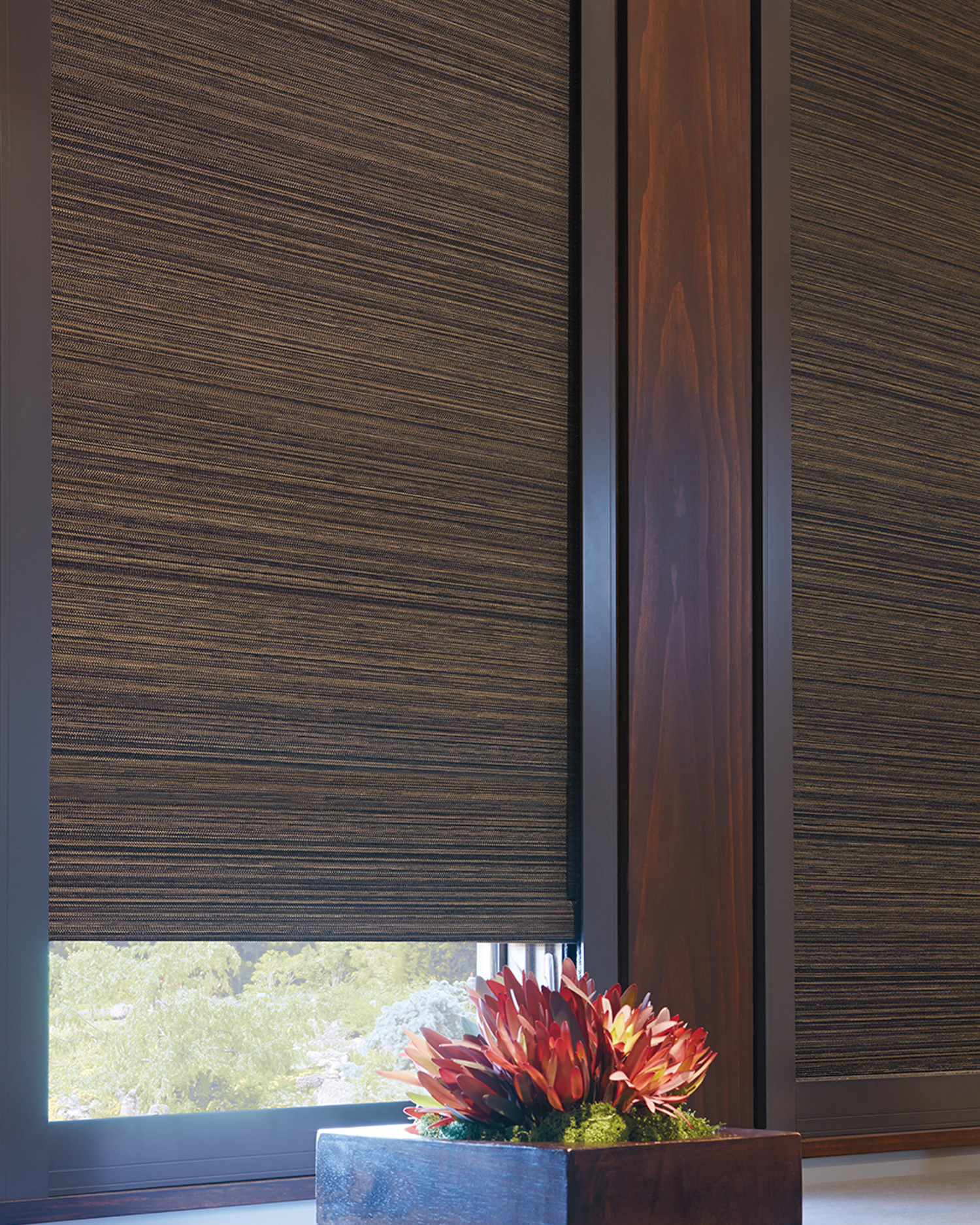 Designer Roller Shades