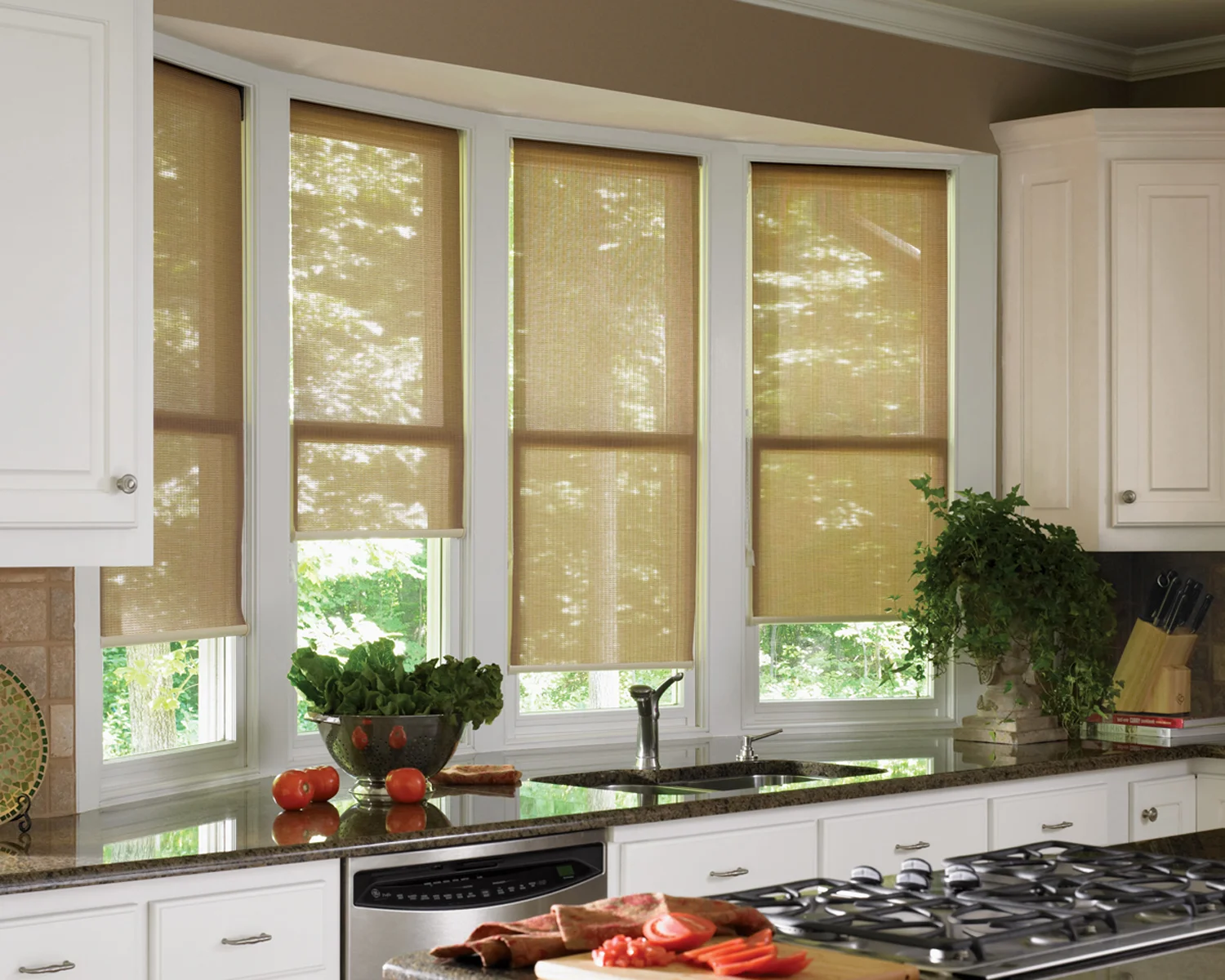Designer Screen Shades