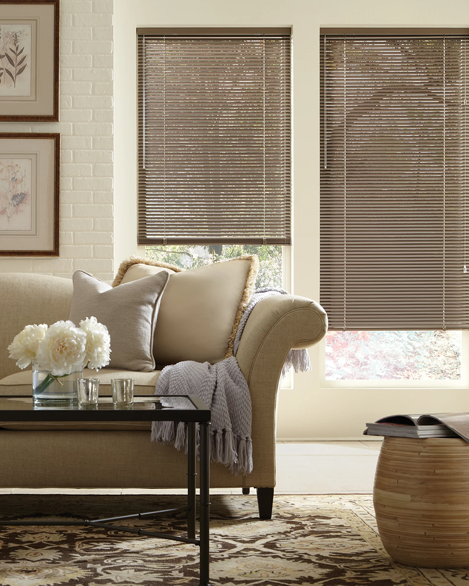Modern Precious Metals Aluminum Blinds: Decor