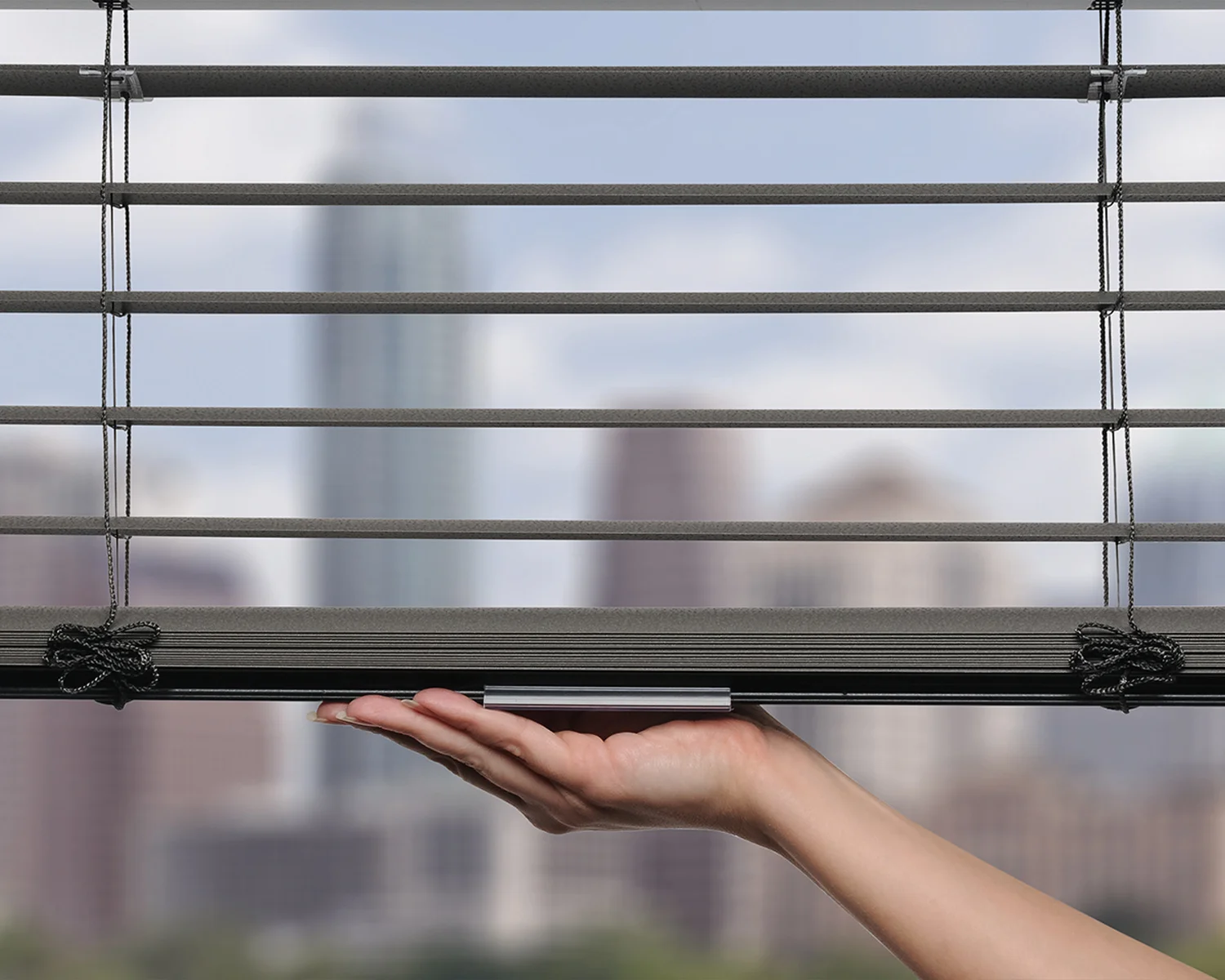 Modern Precious Metals Aluminum Blinds: Natural Elements