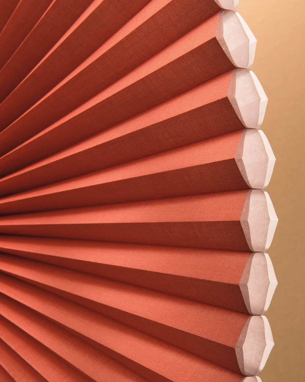 architella_closed_11.jpg