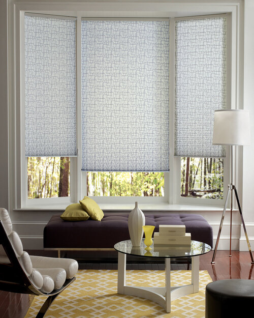 pleatedshades_easyrise_livingroom.jpg