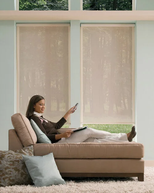 dsroller_hardwired_livingroom_2.jpg