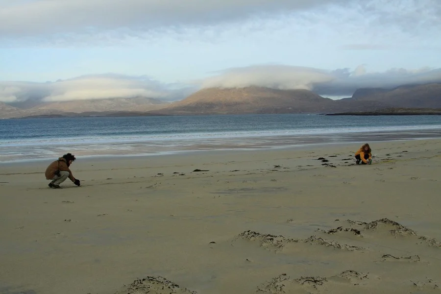 Losgaintir