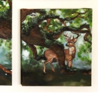 We see deer in our neighborhood all the time🦌 
All. The. Time.

But regardless, every time still kinda feels magical.
We slow the car down to a crawl, we count how many there are and quietly squeal if there are any fawns.

I haven&rsquo;t seen any b