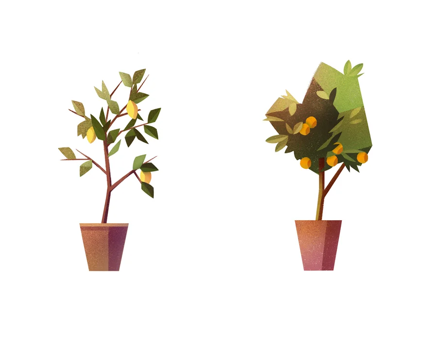 plants.jpg