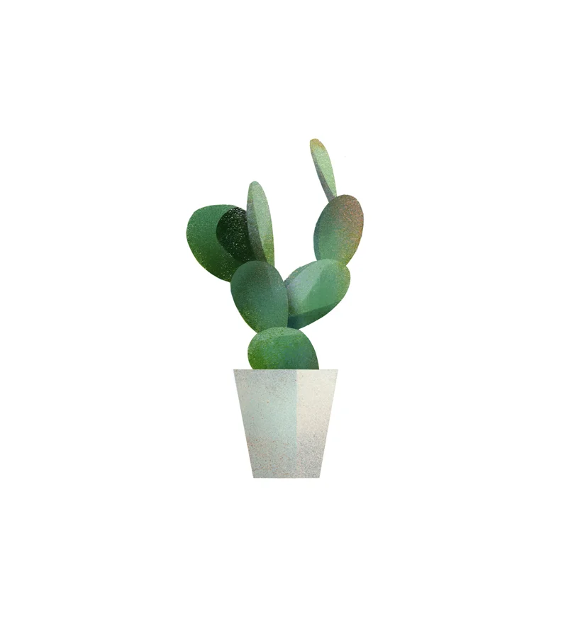cactus2.jpg