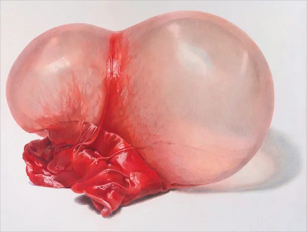 Stereogum: Area Codes: 303 - FaceMan 'FeedingTime' video featured