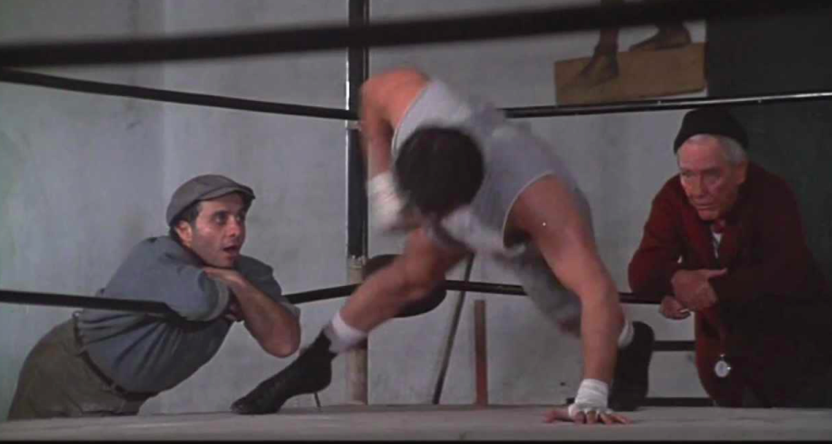 rocky-2-lefy.png