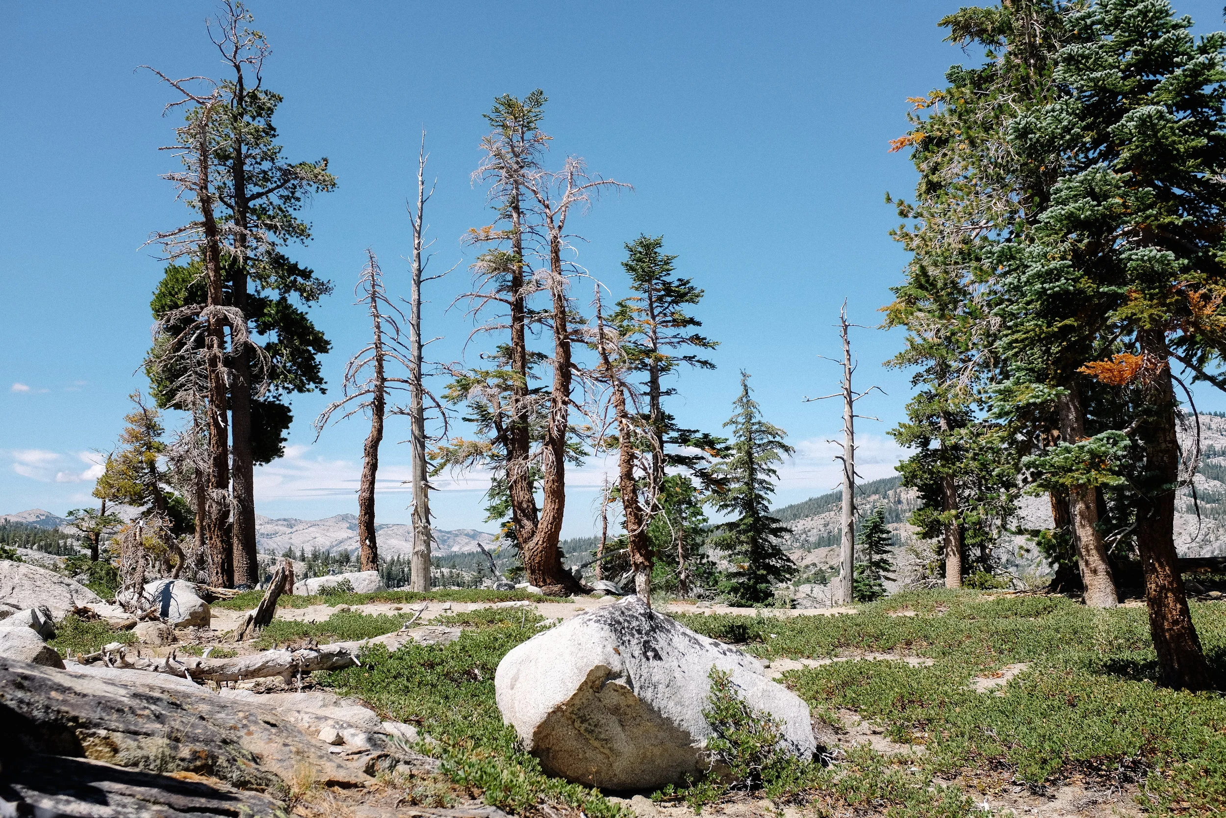 160905_hkp_laketahoe143.jpg