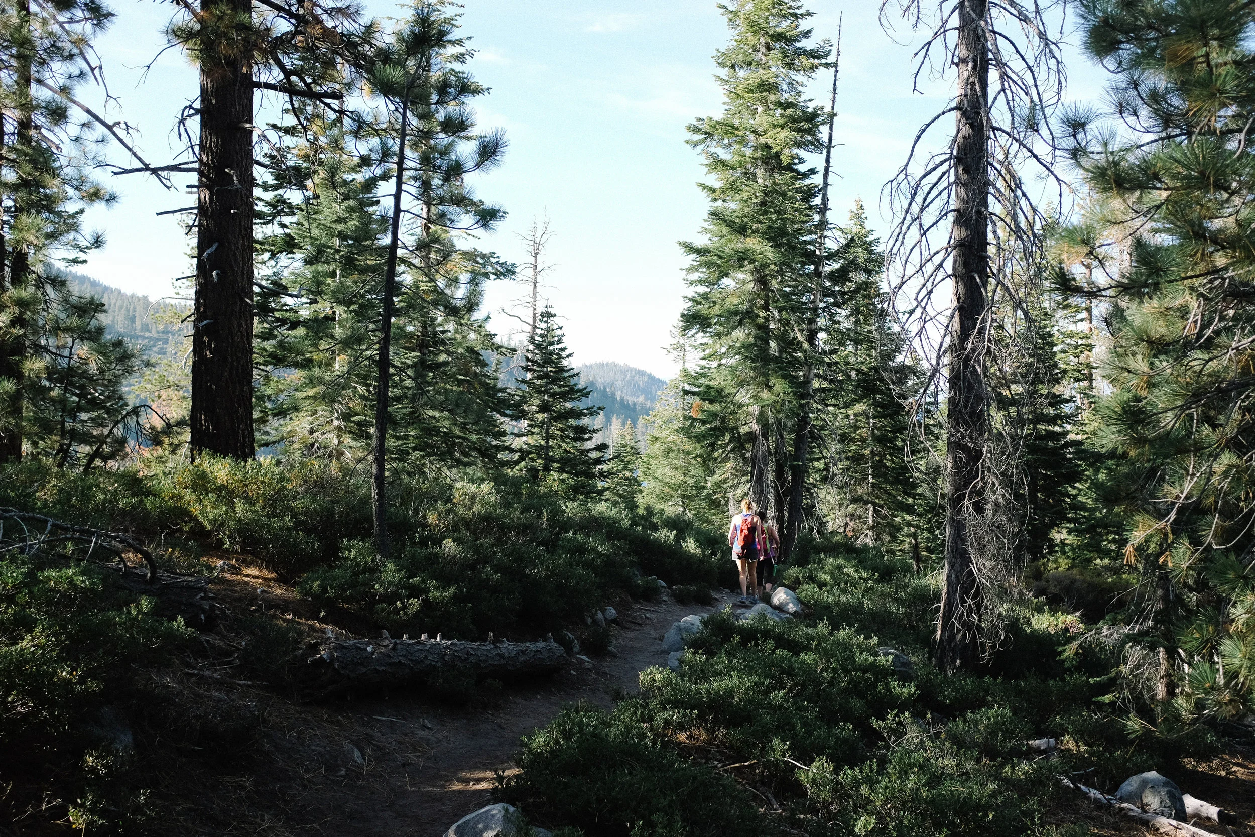 160905_hkp_laketahoe011.jpg