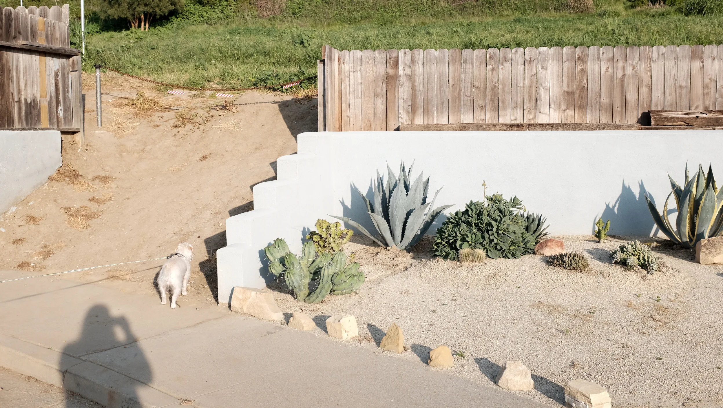 170317_hkp_ventura064.jpg