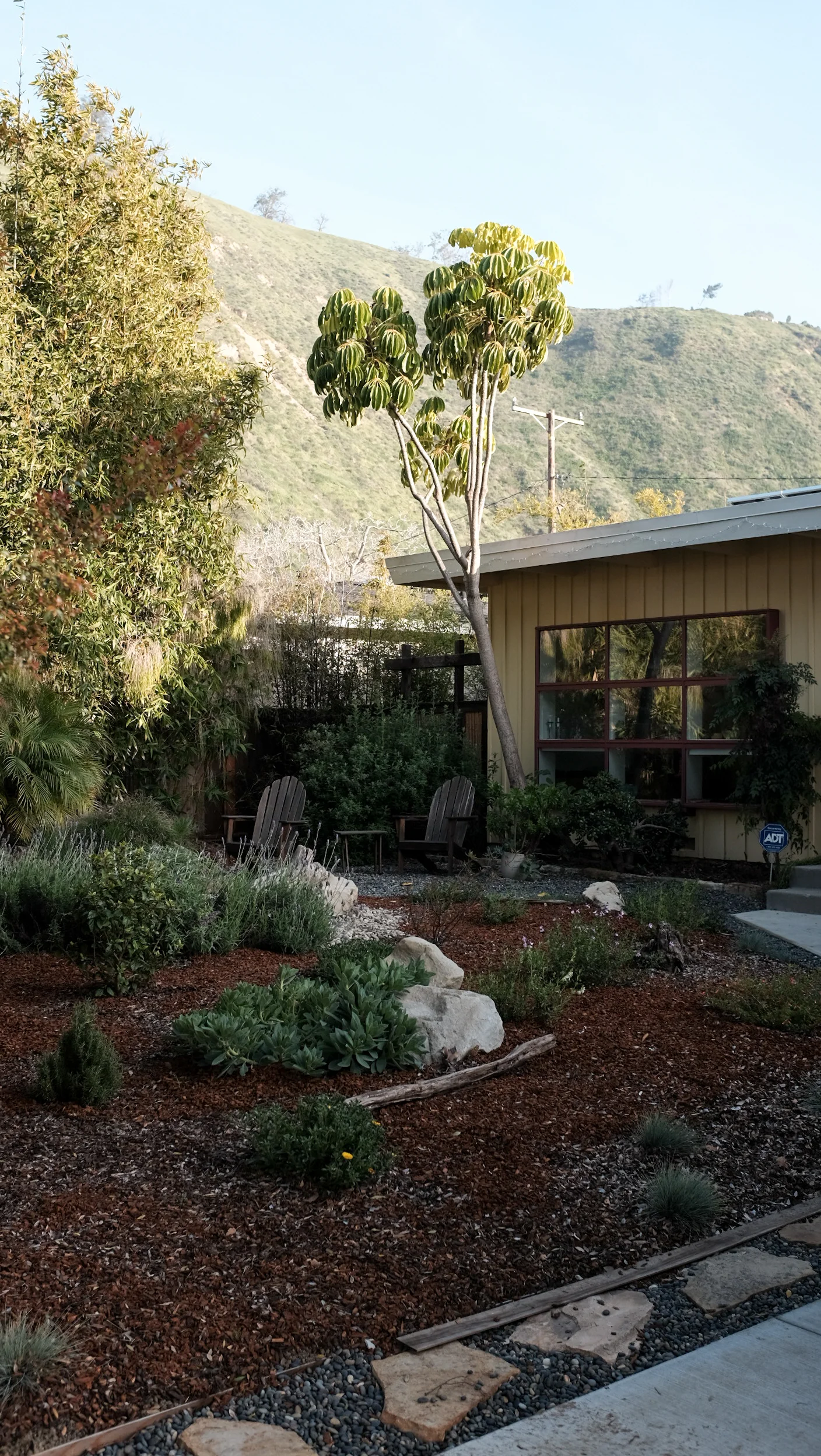 170317_hkp_ventura039.jpg