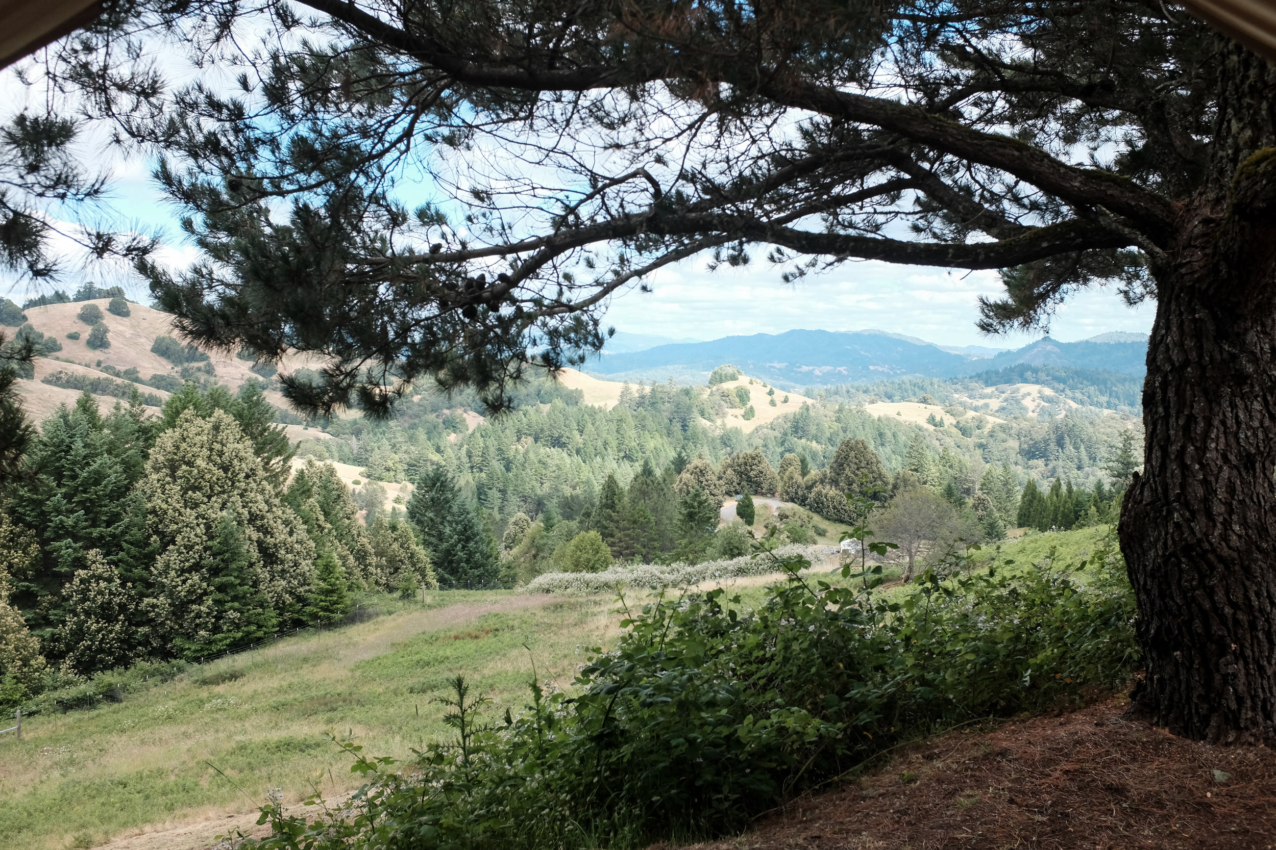 170610_hkp_ukiah080.jpg