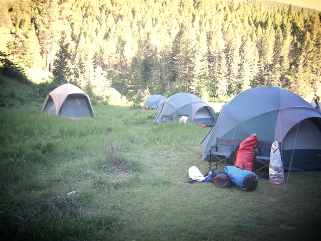  Reducing risk of invasive plant spread and   keeping campsites beautiful    Clean Campsites Program  