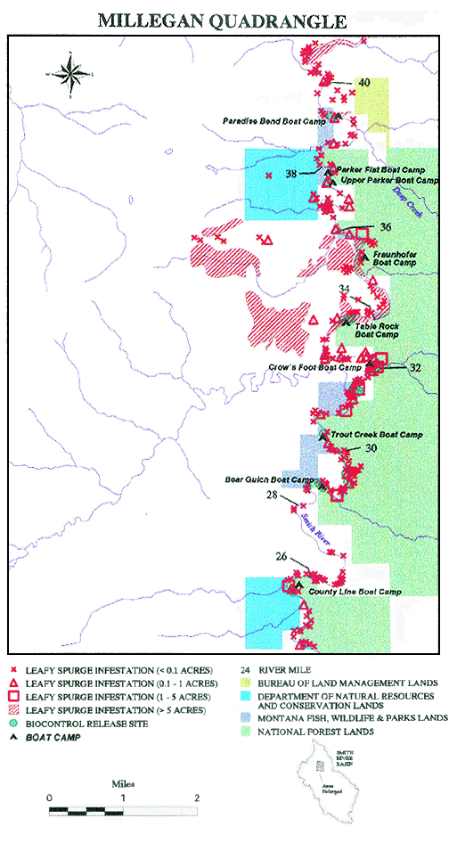 1996 Smith River Weed Survey Map