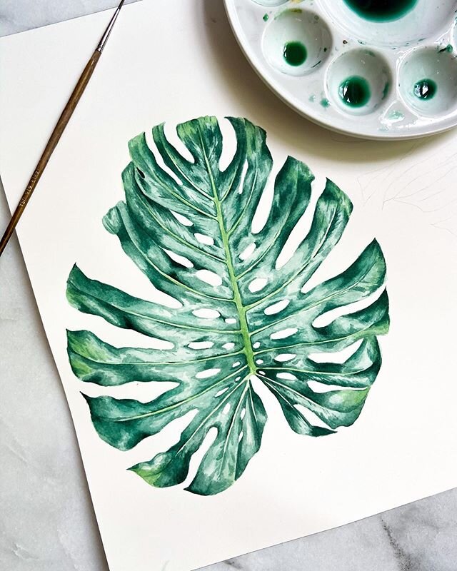 She&rsquo;s done! I can only paint monstera leaves like this... the one in my house refuses to corporate.