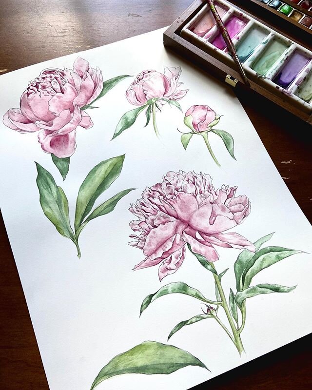 Painting the peonies pink.
