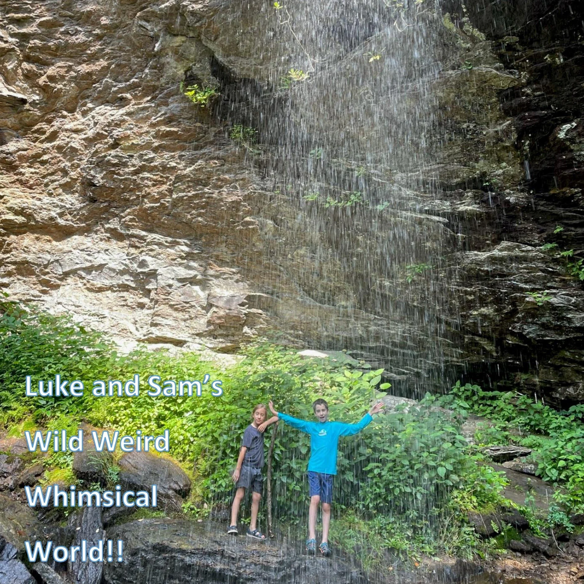Luke and Sam's Wild Weird Whimsical World!!-Cover.jpg