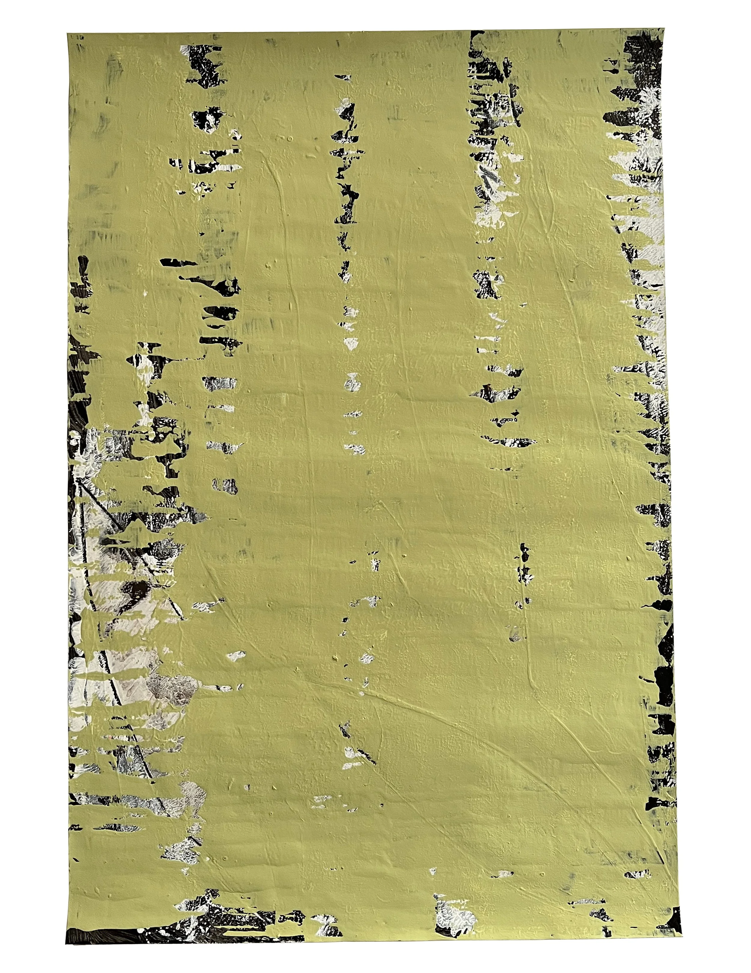  Have You Ever Read 1984? (0064), 2025  18 × 12 inches  Acrylic, household paint, ink, and wax pencil 