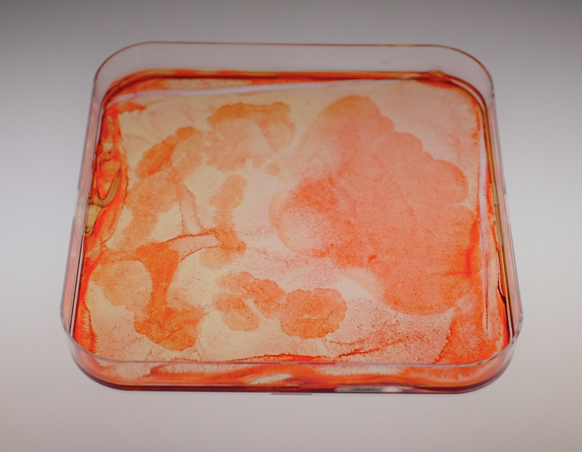 Screenshot 2025-12-18 at 2.38.24 PM.png