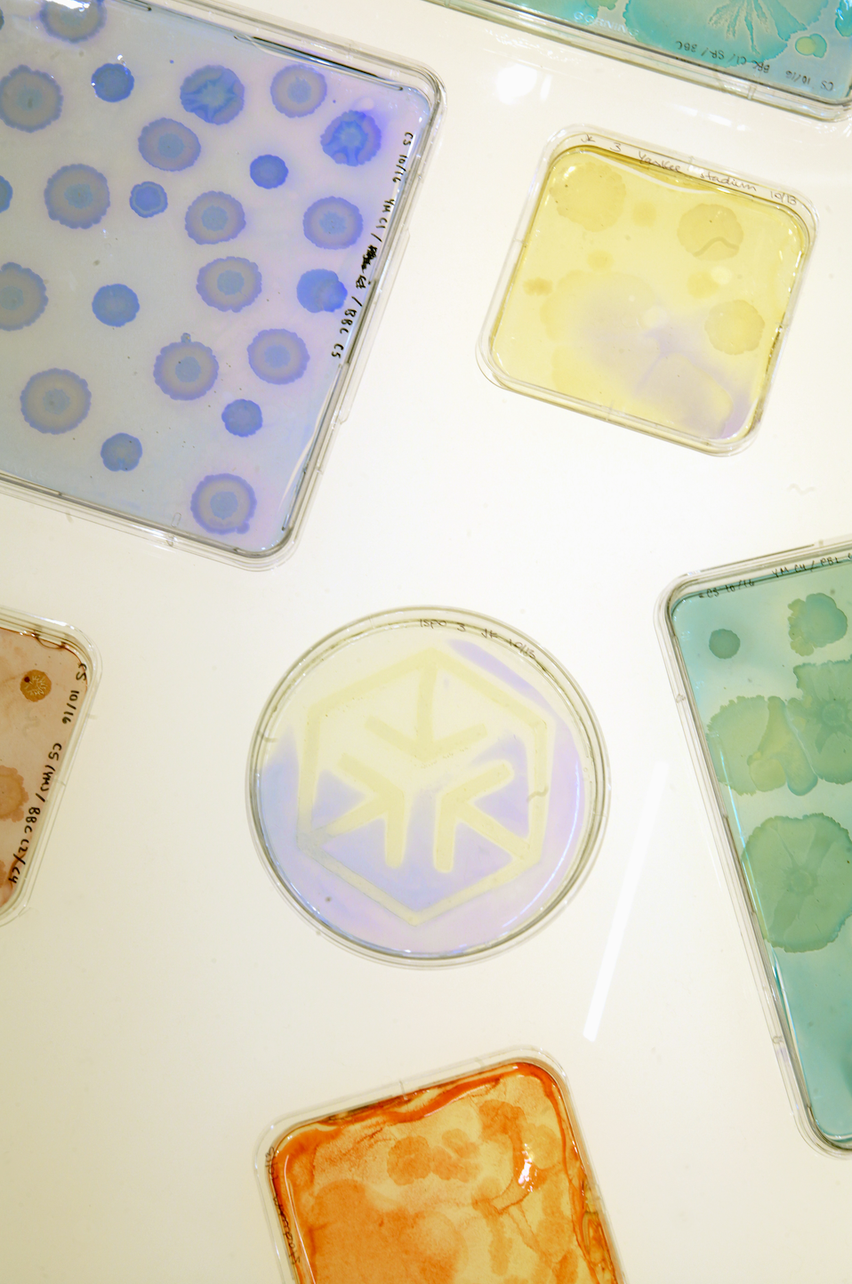 Screenshot 2025-12-18 at 2.38.52 PM.png