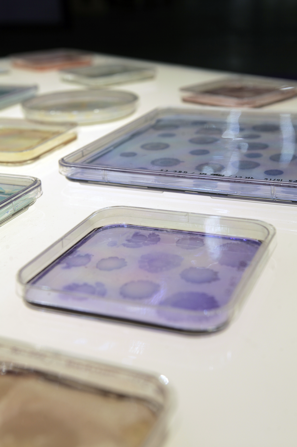 Screenshot 2025-12-18 at 2.39.08 PM.png