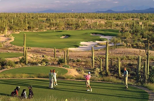 Ritz_DoveMountain_00060_MainTall.jpg