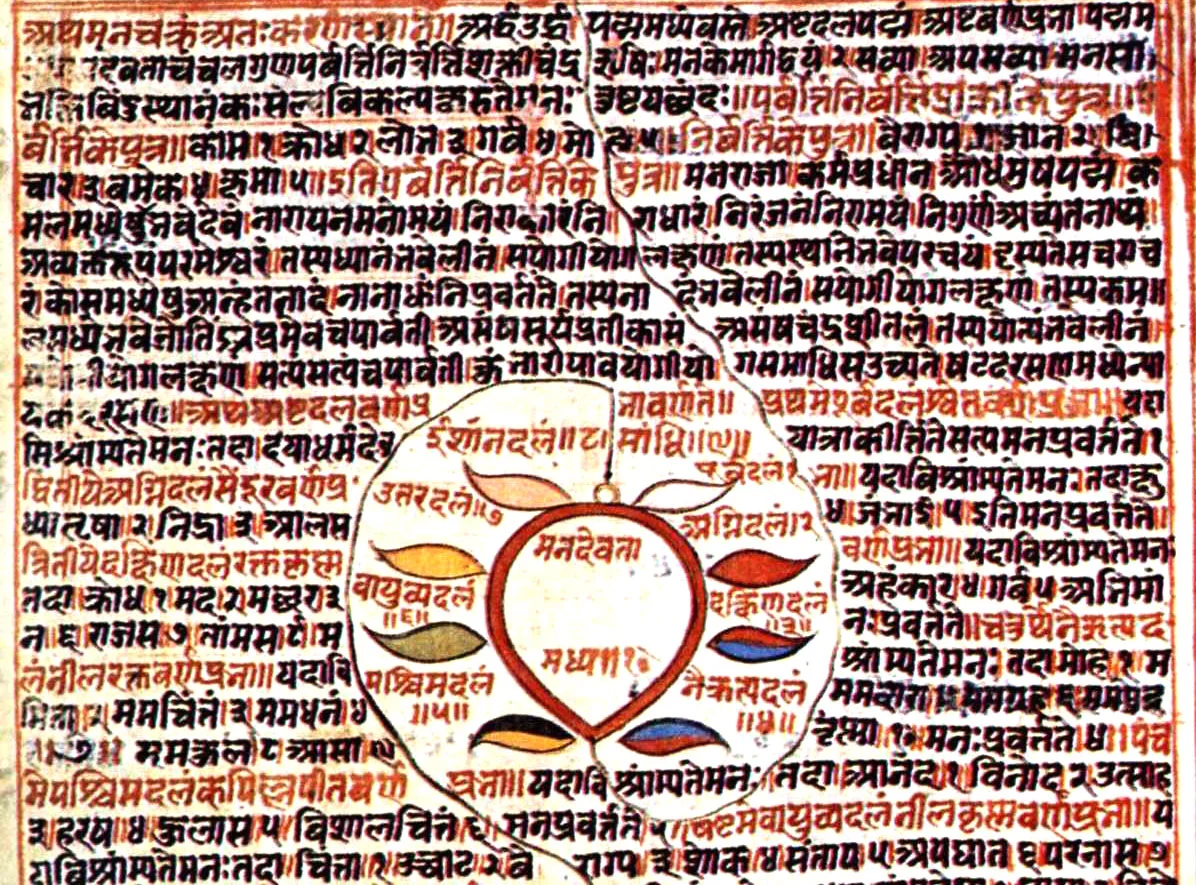 principes-yoga-cachemire.jpg