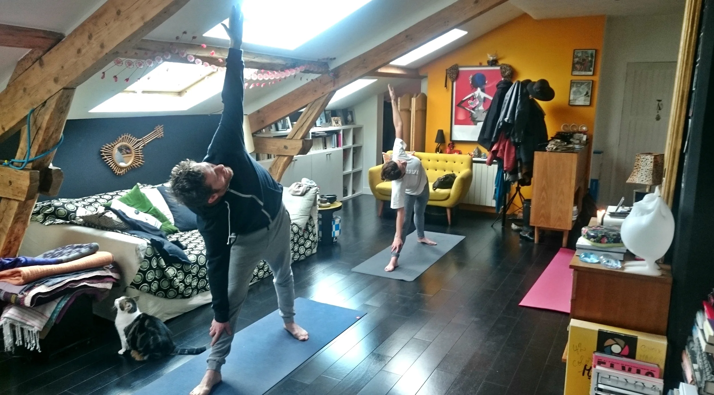 hatha-yoga-cours-particulier.jpg