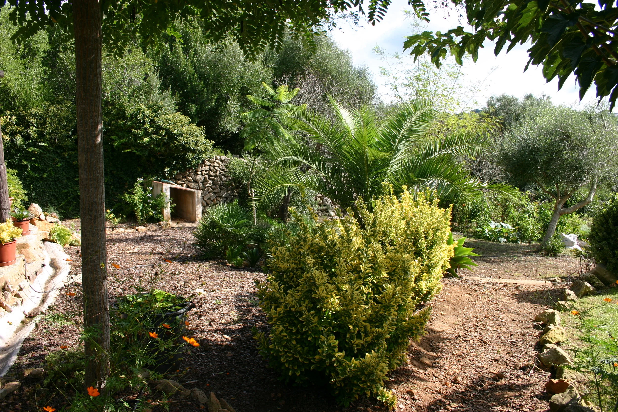 stage-yoga-cachemire-chamanisme-tambour.jpg