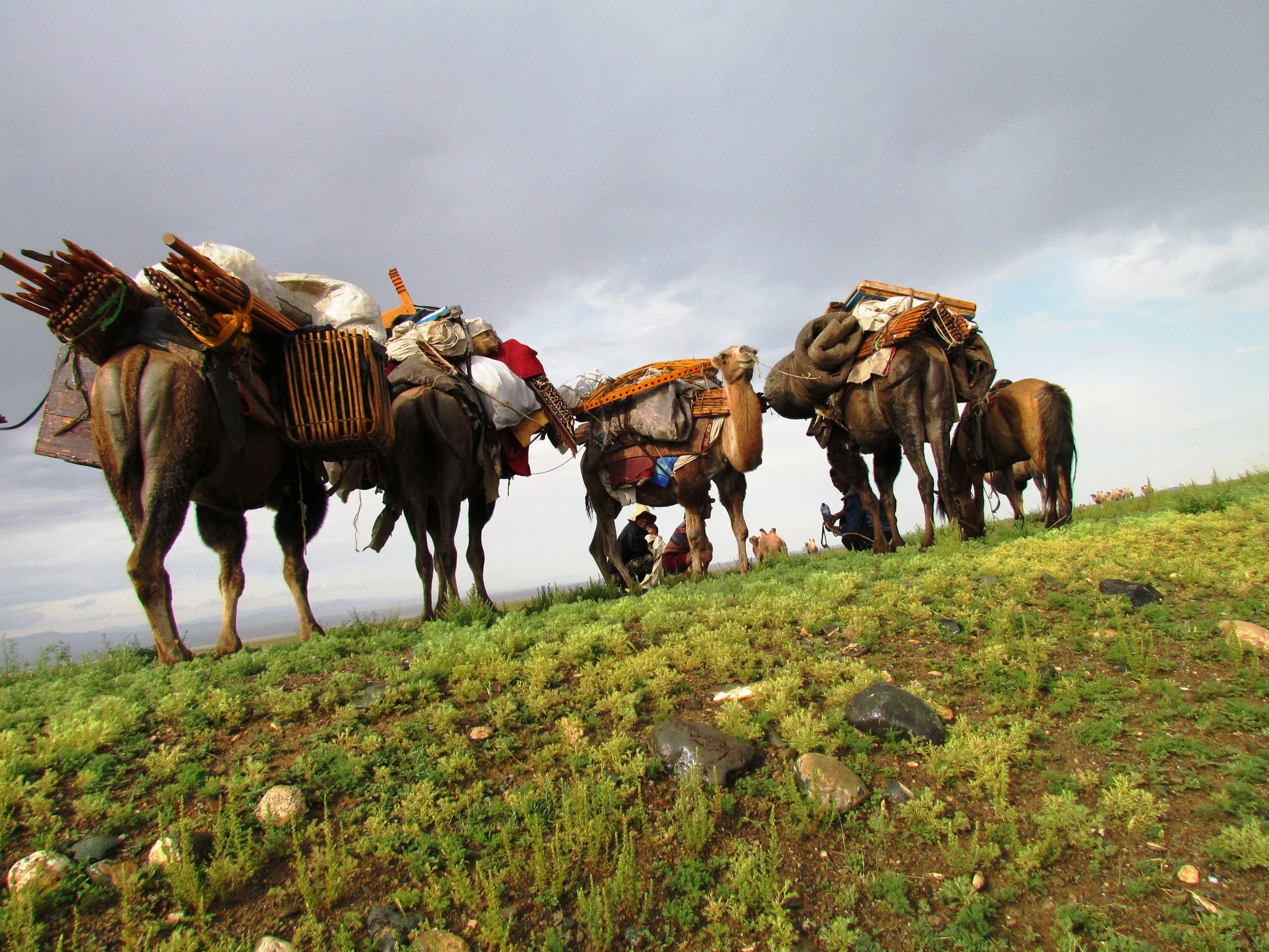 sejour-mongolie-pas-cher.jpg