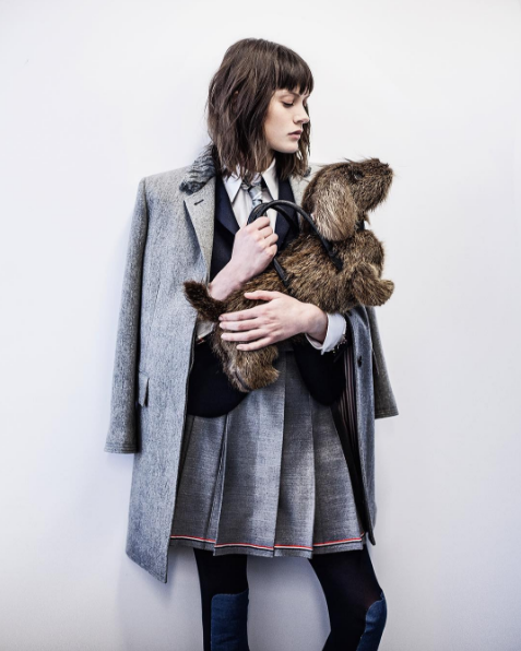 Dog purses FTW