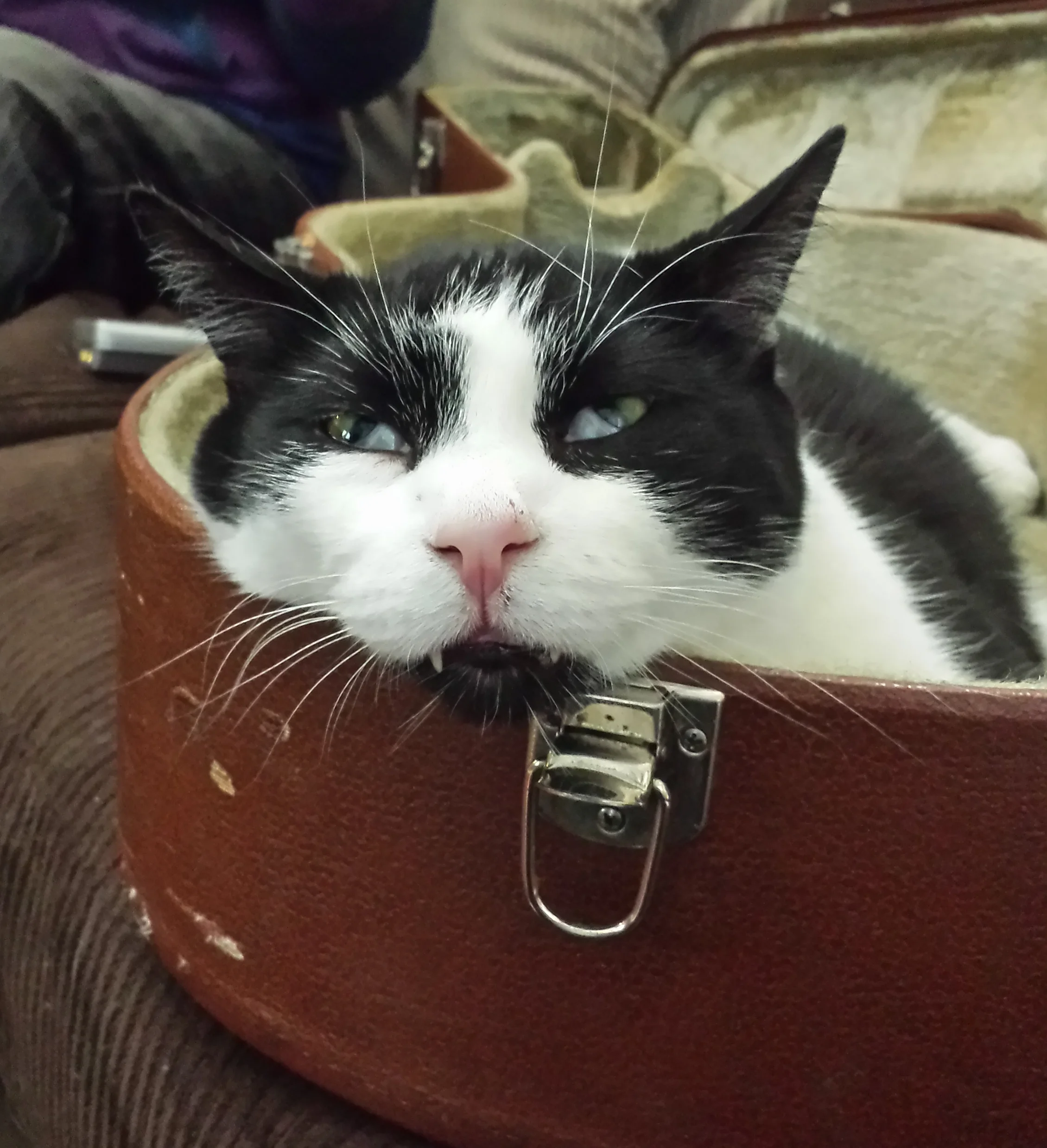 20140122_113833.jpg