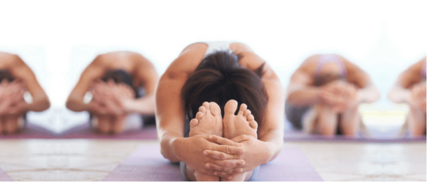 Screen Shot 2019-08-29 at 11.29.37 AM.png