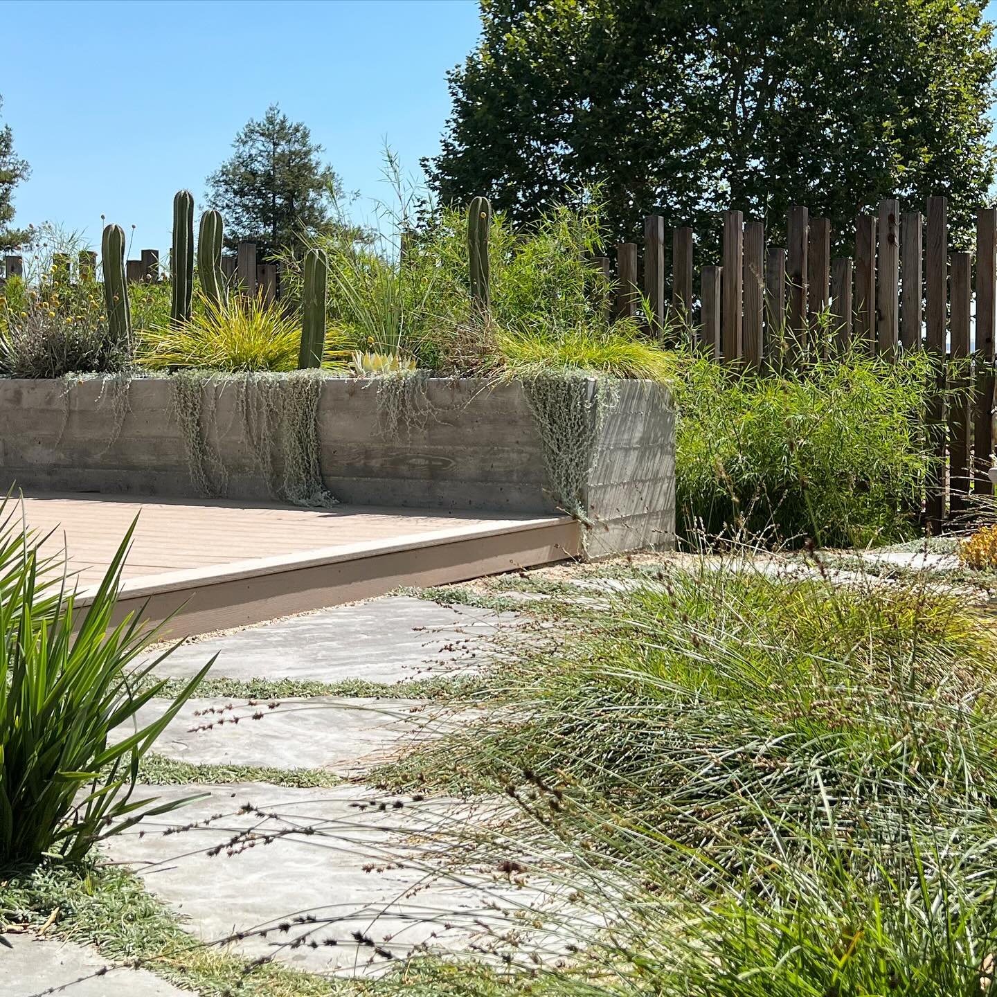 Some of my favorite pieces in a design are the tertiary paths that get you to the nooks and crannies and the just hidden spaces off to the side. ✨
.
.
.
#landscapedesign #landscapedesigner #shareslo #805living #gardendesign #landscaperenovation #drou