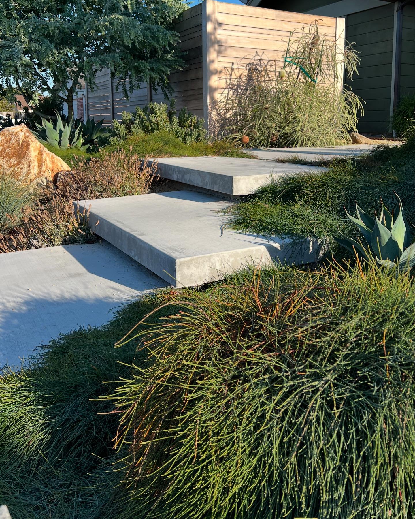 One way to greet guests #entryway ✨
.
.
.
#landscapedesign #landscapedesigner #shareslo #805living #gardendesign #landscaperenovation #droughttolerant #designforliving #sunsetmag #sanluisobispo #californiadesign #lososos #coastaldesign #coastal #suns