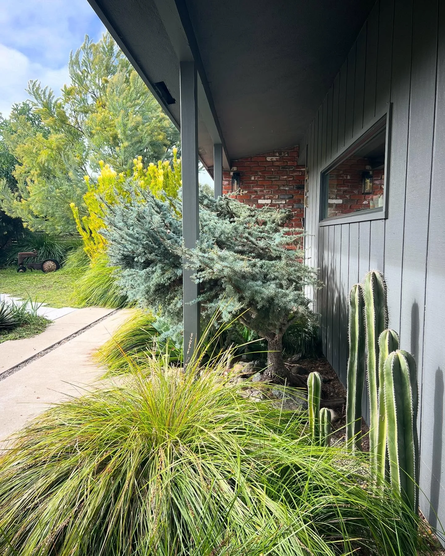 Layered and linear in Los Osos ✨
.
.
.
#ncdesigns #landscapedesign #landscapearchitecture #sanluisobispo #californiadesign #plantdesign #sunsetmag #thisislandscapearchitecture #805living #californiadesigner #coastaldesign #coastalliving #explorepage 
