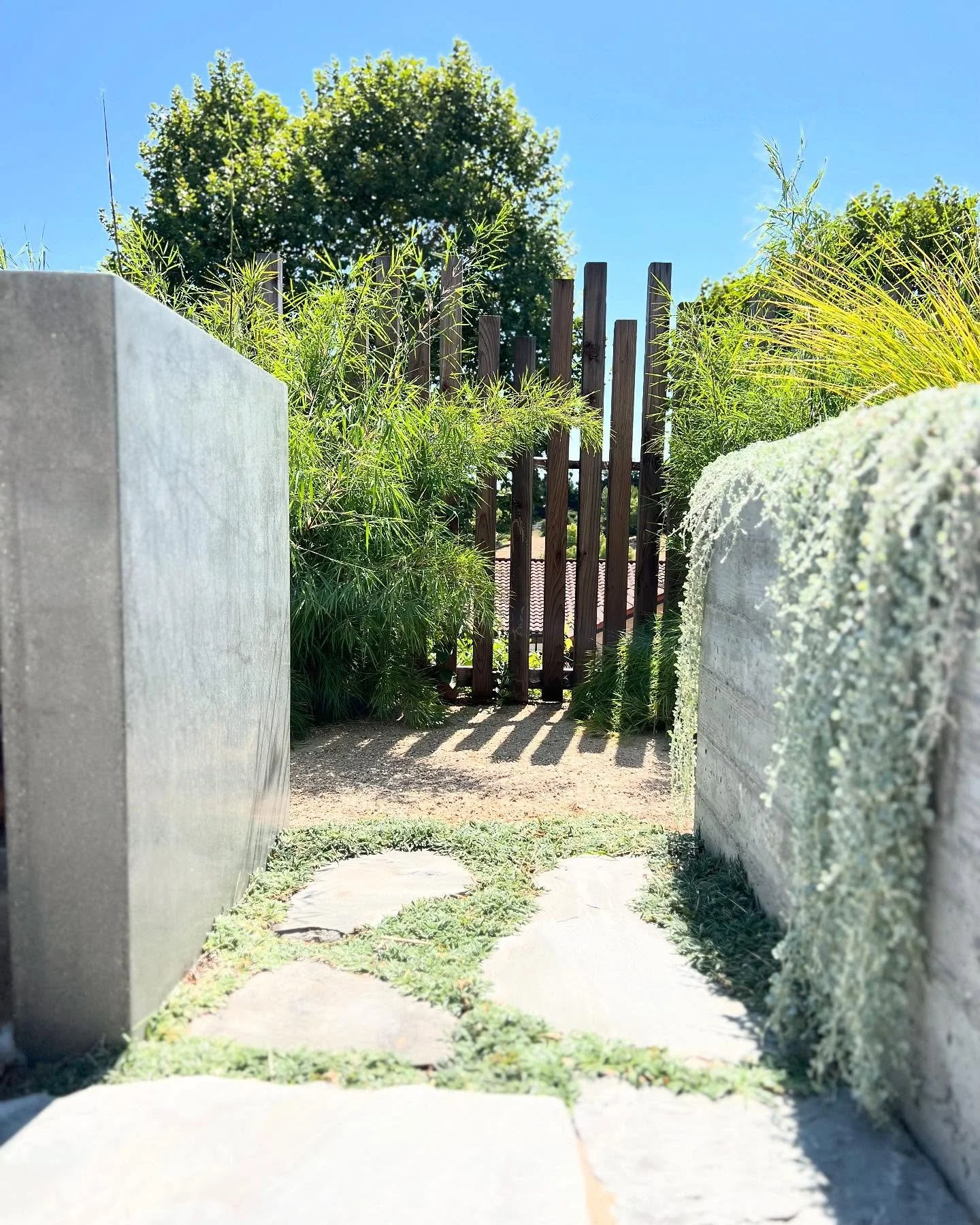 The little details in between ✨

#landscapedesign #landscapedesigner #shareslo #805living #gardendesign #landscaperenovation #droughttolerant #designforliving #sunsetmag #sanluisobispo #californiadesign #lososos #coastaldesign #coastal #sunsetmag #mo
