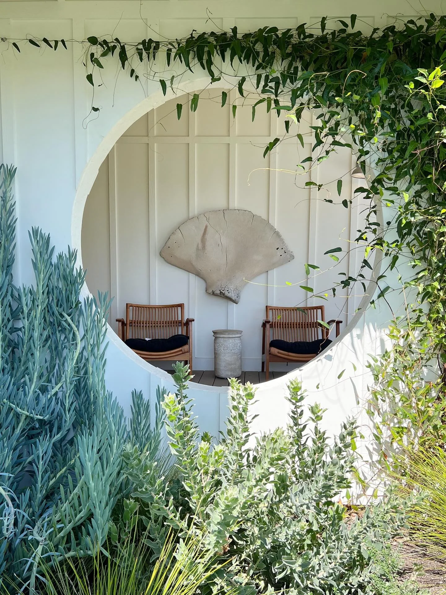 California front-porch perfection achieved. ✨
.
.
.
#ncdesigns #landscapedesigner #californialiving #outdoorliving #805living #slolife #sanluisobispo #outdoordesign #sunsetmag #slocal