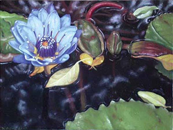 Water lilies