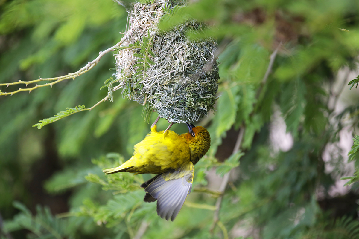 Natur 007.jpg