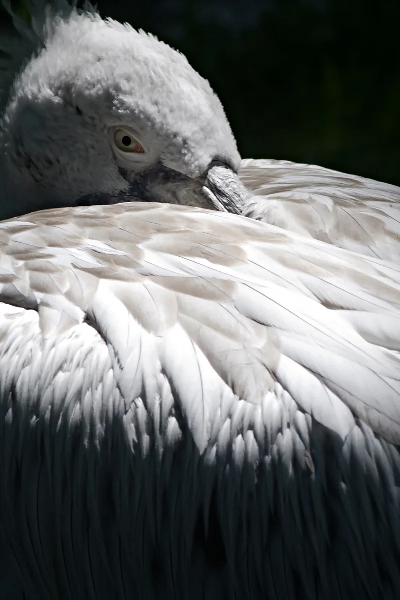 Natur 025.jpg