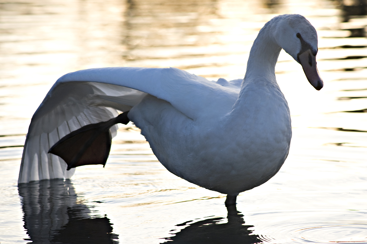 Natur 029.jpg