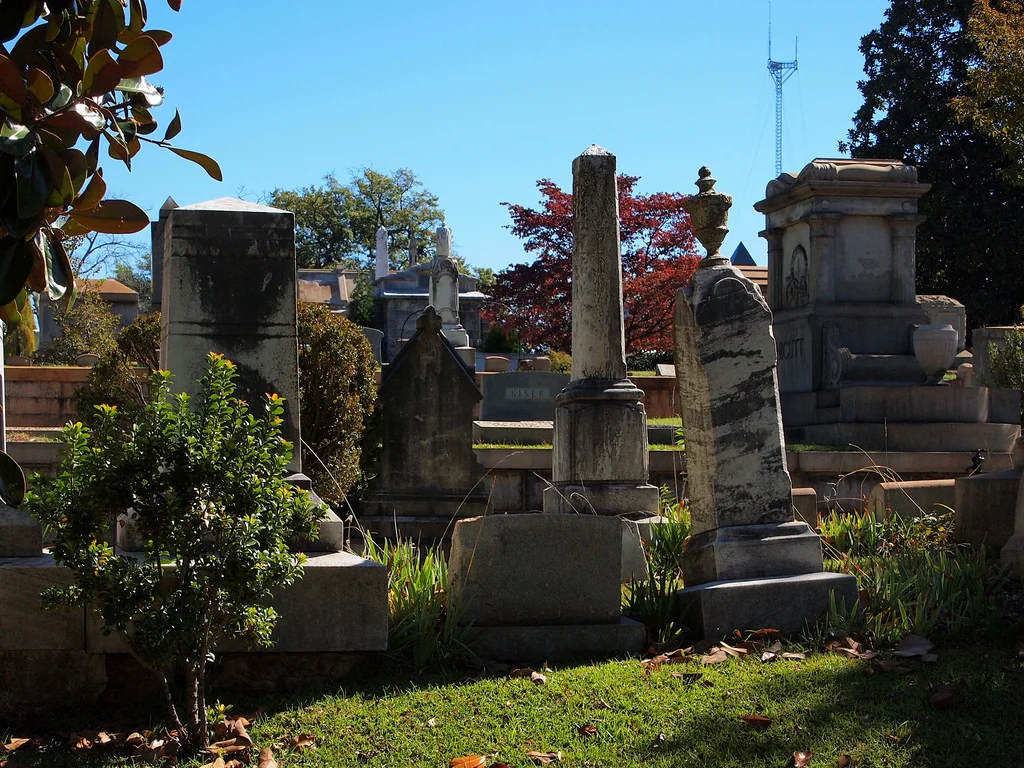 I HAVE A THING FOR THE MACABRE