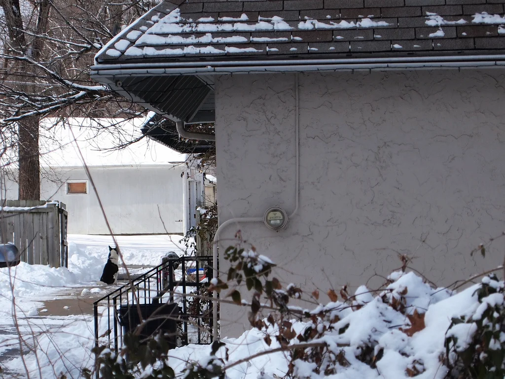 ROUTINES AND RITUALS